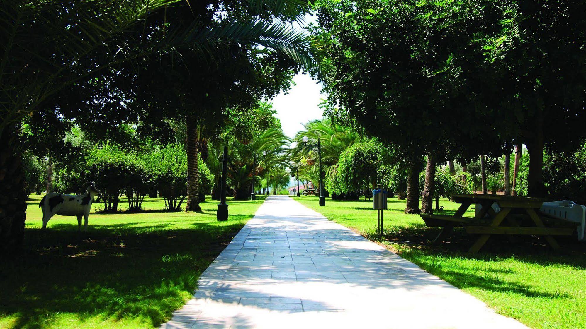 Ośrodek wypoczynkowy Sural Saray (adults Only) 5*